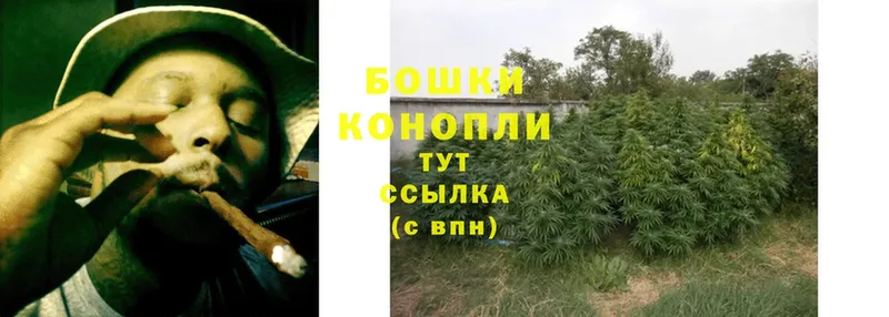 Марихуана SATIVA & INDICA  наркота  Пыталово 